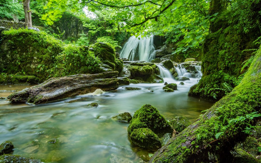 Wasser-Fußabdruck