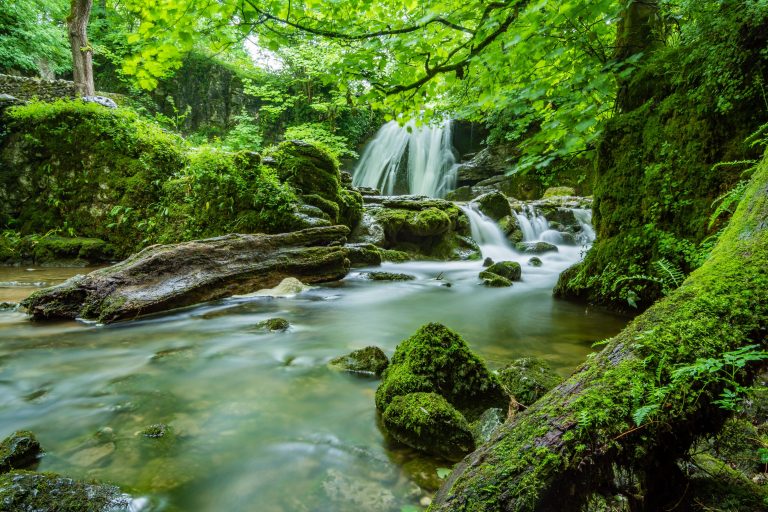 Wasser-Fußabdruck